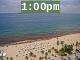 1:00pm to 1:59pm