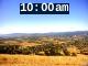 10:00am to 10:59am